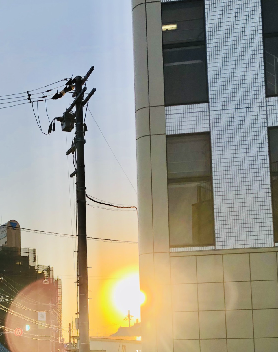 社屋越しに、太陽が映り、光を指している